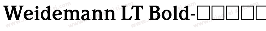 Weidemann LT Bold字体转换